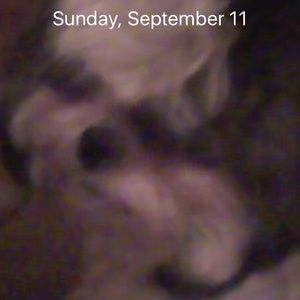 Meet your Posher, Pat